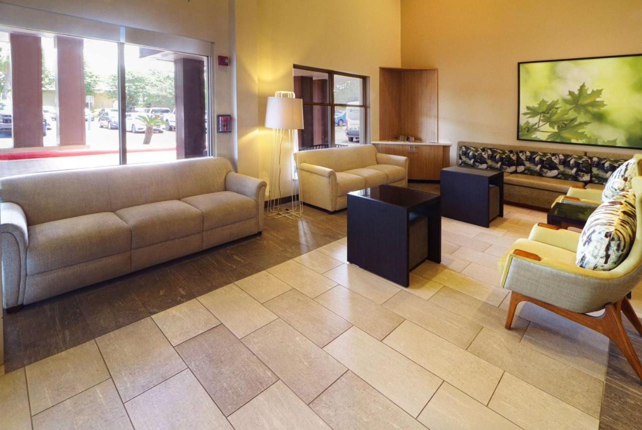 Wyndham Garden Mcallen At La Plaza Mall Eksteriør billede