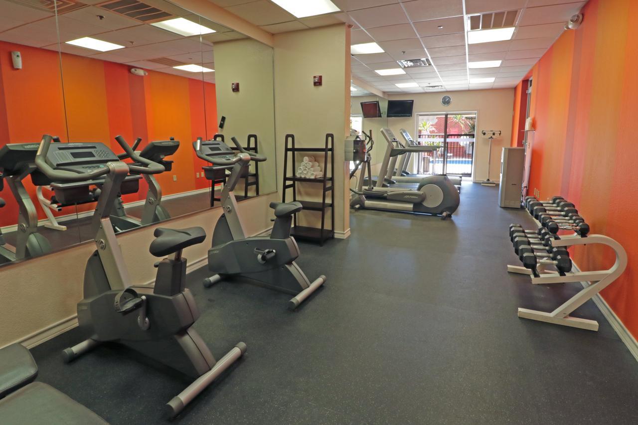 Wyndham Garden Mcallen At La Plaza Mall Eksteriør billede